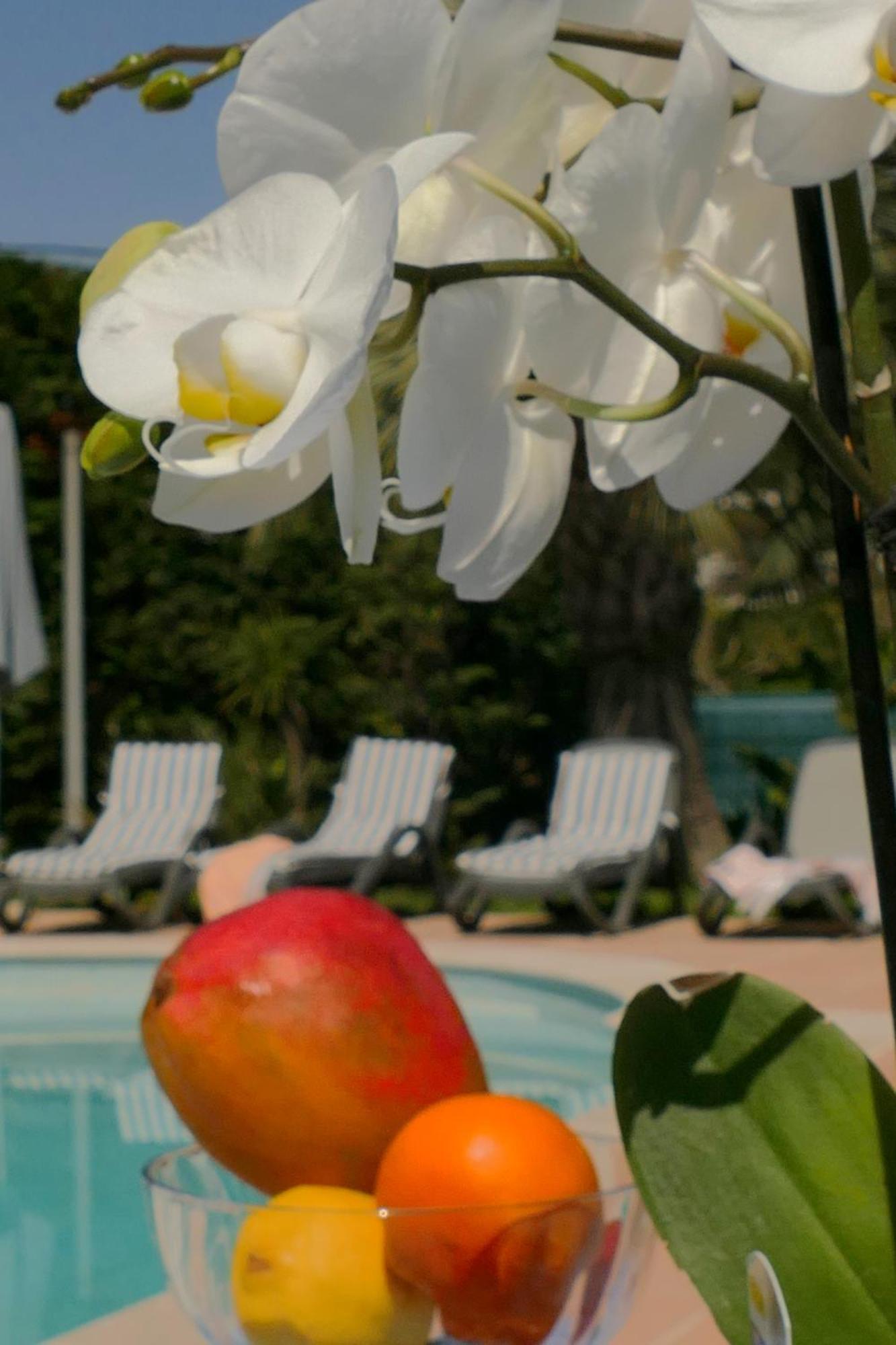 Villa Alessia Antibes Kültér fotó