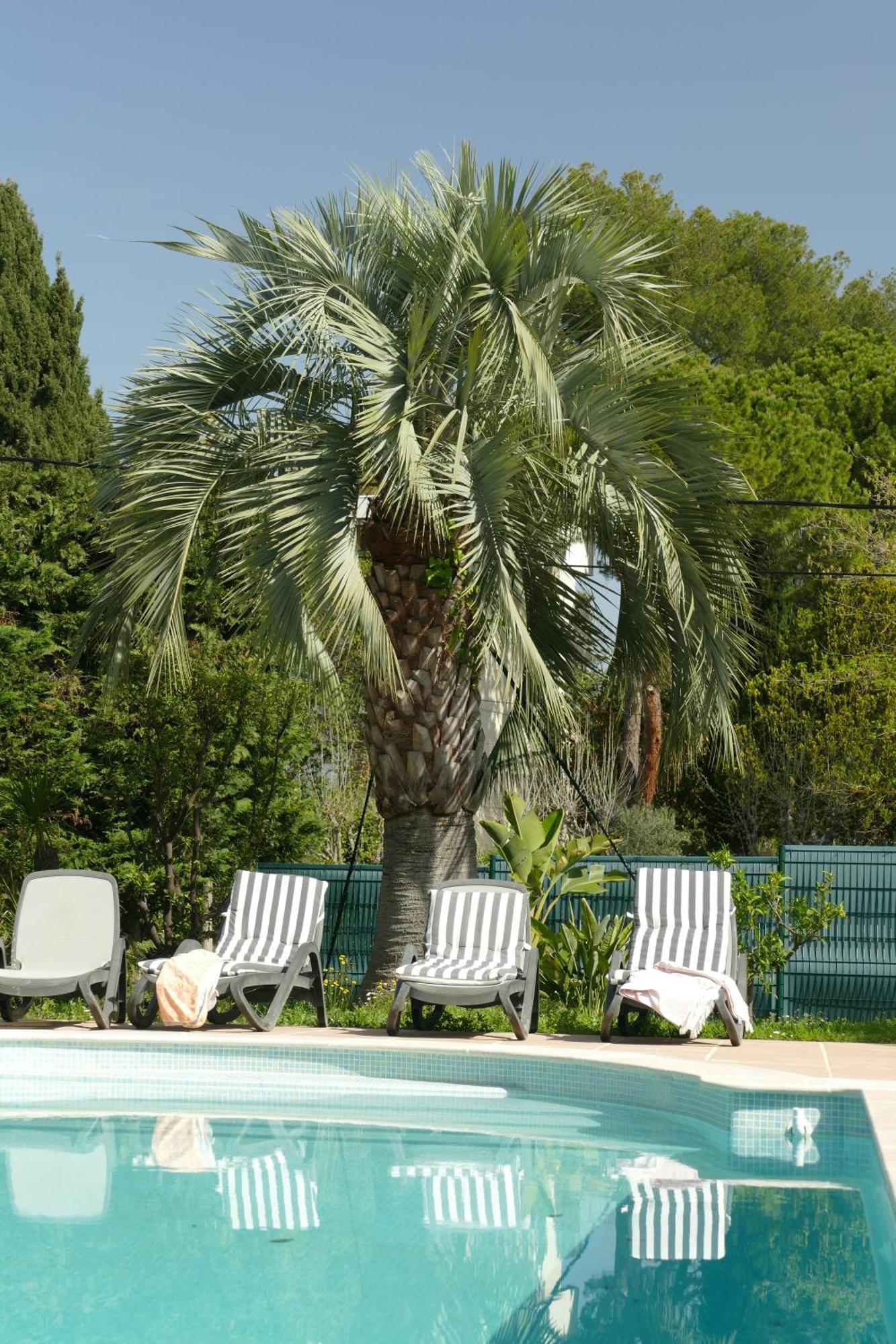 Villa Alessia Antibes Kültér fotó