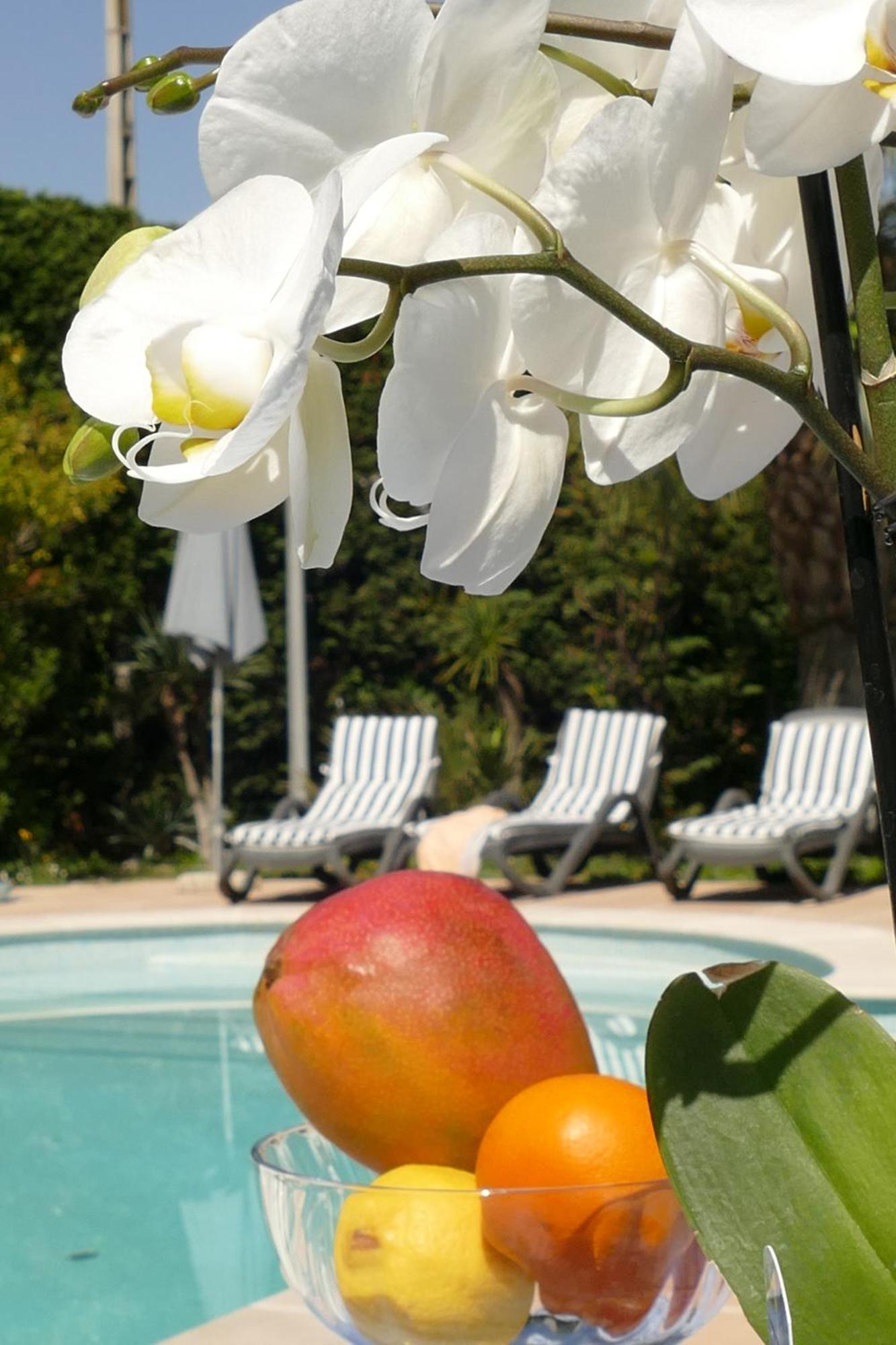 Villa Alessia Antibes Kültér fotó